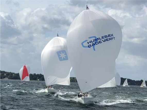 Printed sail project 7