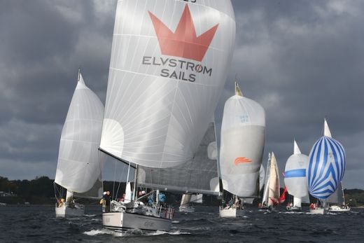 Printed sail project 13